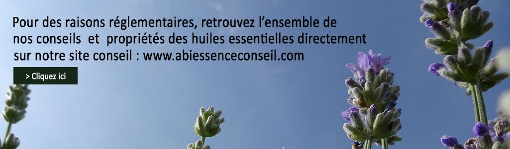 GUIDE DES HUILES ESSENTIELLES
